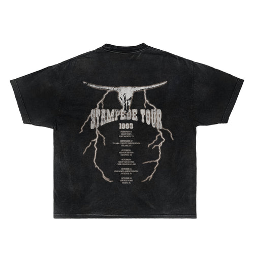 Brooks & Dunn Stampede Tour '93 Tee